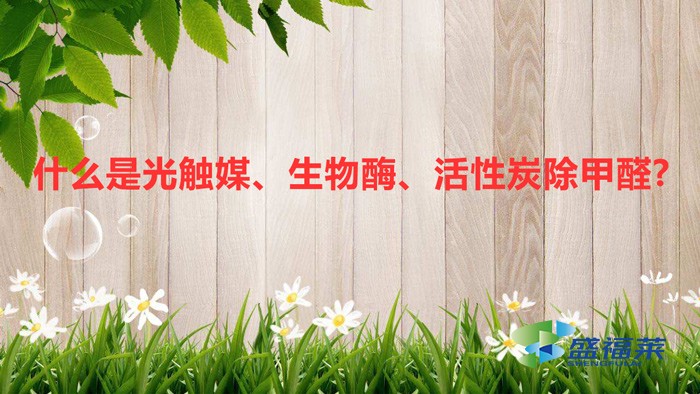 什么是光觸媒、生物酶、活性炭除甲醛?