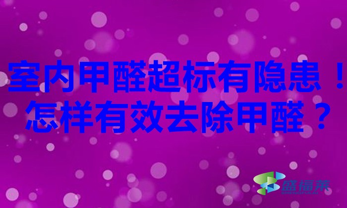 室內甲醛超標有隱患！怎樣有效去除甲醛？