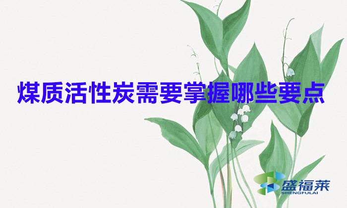 煤質(zhì)活性炭需要掌握哪些要點(diǎn)（煤質(zhì)活性炭使用注意事項）