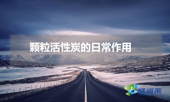 顆?；钚蕴康娜粘Ｗ饔茫ㄕ_選擇活性炭顆粒）