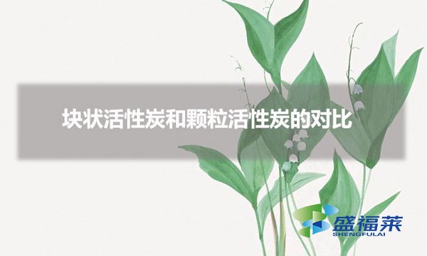 塊狀活性炭和顆?；钚蕴康膶?duì)比（塊狀和顆粒活性炭有哪些不同）
