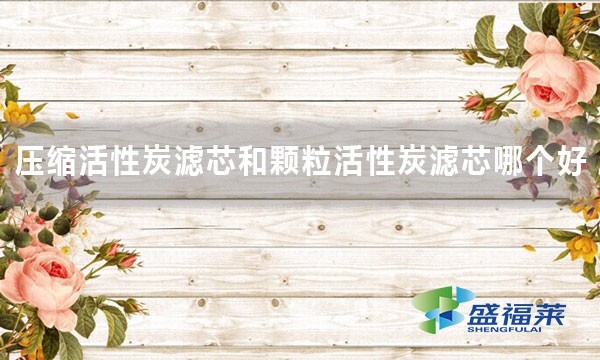 壓縮活性炭濾芯和顆粒活性炭濾芯哪個(gè)好 好在哪里？