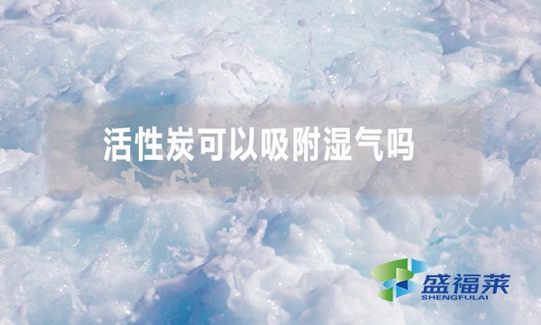 活性炭可以吸附濕氣嗎 為什么？