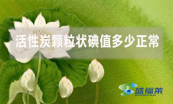 活性炭顆粒狀碘值多少正常？