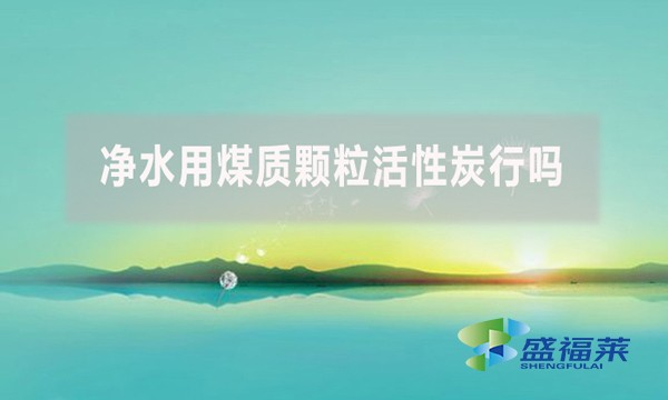 凈水用煤質(zhì)顆粒活性炭行嗎？