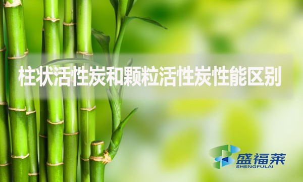 柱狀活性炭和顆?；钚蕴啃阅軈^(qū)別