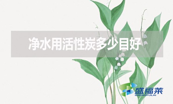 凈水用活性炭多少目好？有哪些優(yōu)缺點？