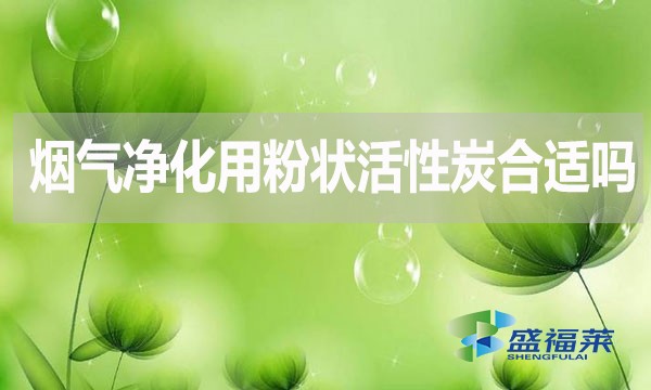 煙氣凈化用粉狀活性炭合適嗎？