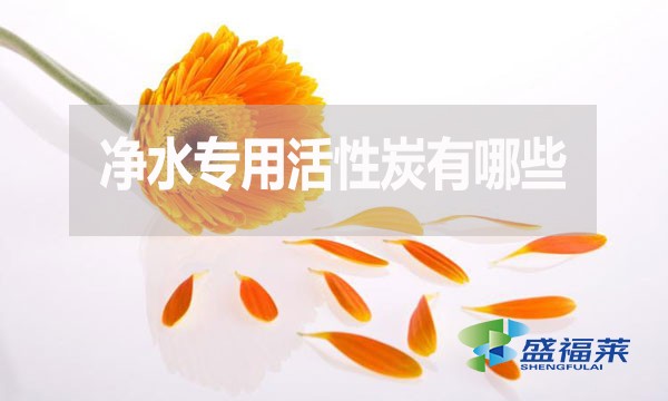 凈水專用活性炭有哪些？多少錢一噸？