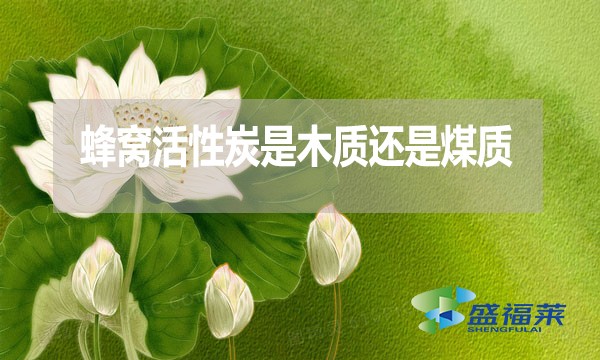 蜂窩活性炭是木質(zhì)還是煤質(zhì)？哪種好？