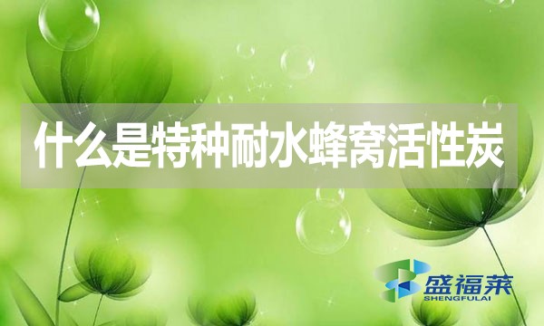 什么是特種耐水蜂窩活性炭？哪里能用到？